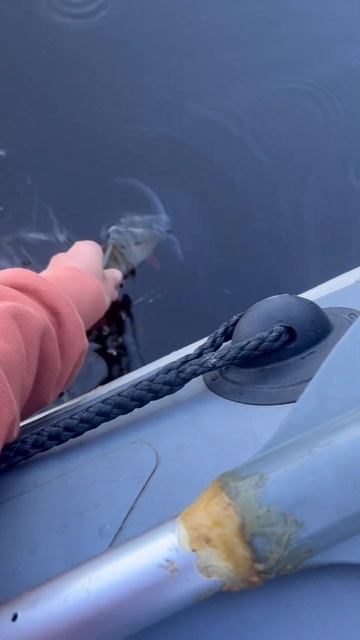 Кинематографично ушел малыш окунек😁 #рыбалка #окунь # смотреть онлайн