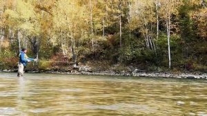 Рыбалка на Коппи 2023