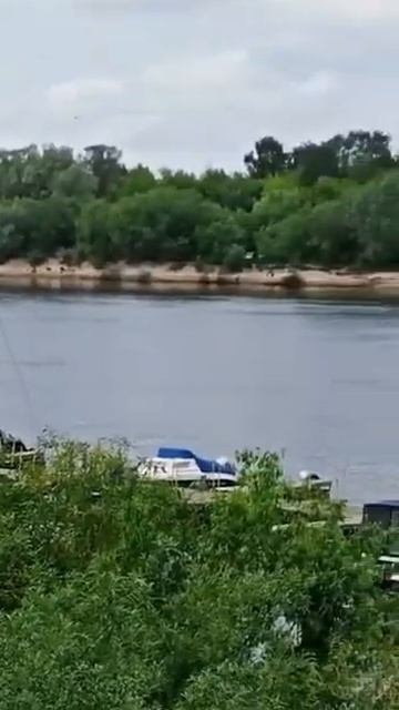 Рыбалка Муром- Павлово Ока 4 Июня 2023…#shorts смотреть онлайн