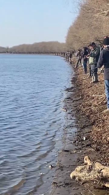 Рыбалка Весной Астрахань смотреть онлайн