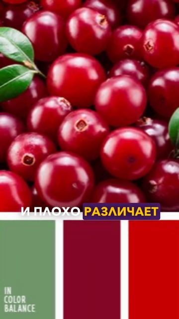 Фейсбук - зачем синий цвет?