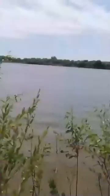 Астраханский клёв Рыбалка 2024 смотреть онлайн