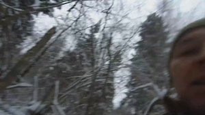 Охота на куницу с лайкой. Сезон 2024-2025. Эпизоды.