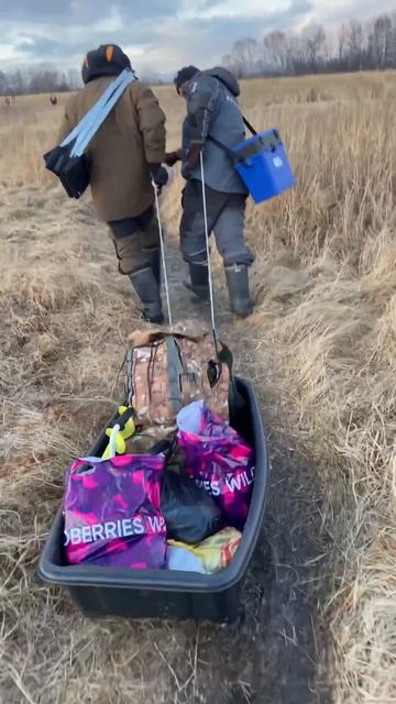 Камчатка, улов едет домой) #камчатка#kamchatka#ice#fishing#рыбал? смотреть онлайн