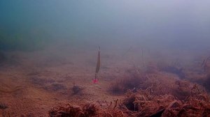 Блесна ECOPRO «Vandal» — универсальная приманка на любого х