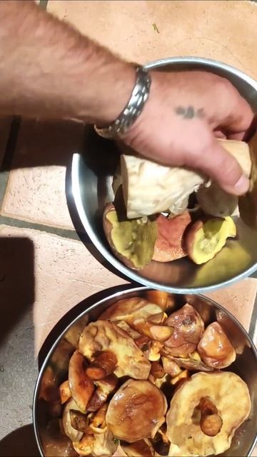 ЗАШЁЛ В ЛЕСОК НА ЧАСОК смотреть онлайн