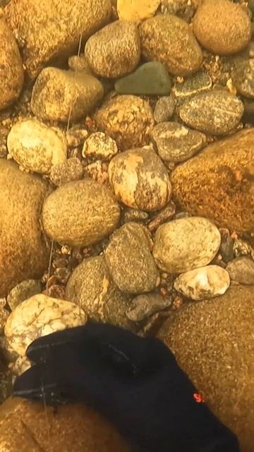 Отличная блесна #рыбалка #fishing смотреть онлайн