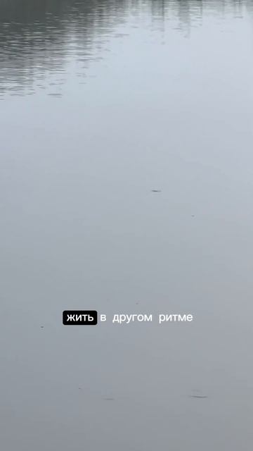 30 июля 2024 г. смотреть онлайн