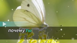 В мой день рождения мои родители не зарезервировали д?