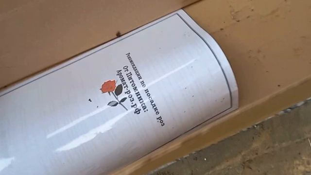 Распаковка посылки из питомника Аромат роз смотреть онлайн