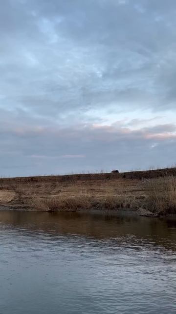 Когда на рыбалке не клюет #ахтуба #рыбалка #лошади смотреть онлайн