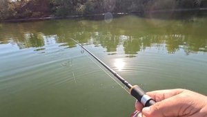 КРУПНЫЙ ОКУНЬ ОСЕНЬЮ НА СПИННИНГ.