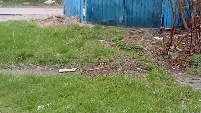 Вывоз мусора на улице Мира, 17Д(23.04.2024)В 12:08 смотреть онлайн