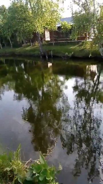 Надо удочки покупать смотреть онлайн