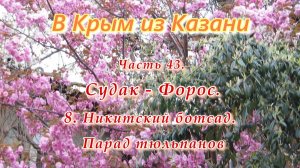 В Крым на автомобиле из Казани. Часть 43. Парад тюльпанов в Никитском ботаническом саду.