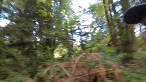 рыбалка на реке McKenzie River (Oregon)