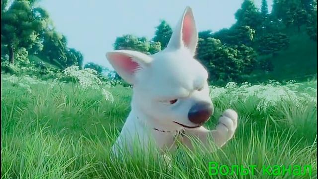 Вольт клип Superhеro смотреть онлайн