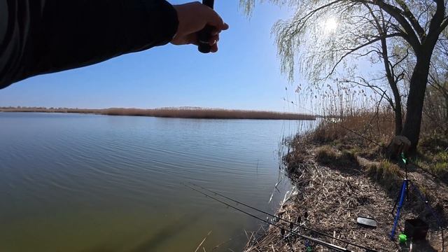 Як зловити КОРОПА, коли КАРАСЬ не дає СПОКОЮ? Моя перев смотреть онлайн