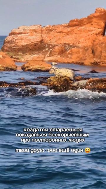 Морская прогулка во Владивостоке
+79147374096 Татьяна