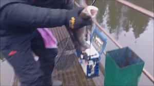 На что поймать форель? Воблеры 1089 рвут спорт зону. Рыба