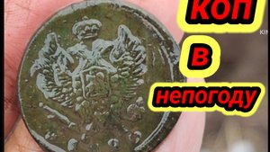 коп в непогоду и про дзен премиум