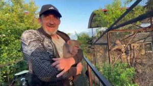 Люська ВОЗМУЩЕНА, почему она должна делиться своими вкусняшками с ЭТИМИ ГАМАДРИЛ