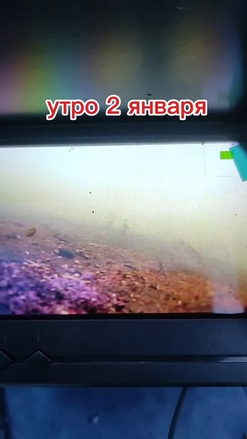 #2024 #happy#подпишись#fishing #зимняярыбалка #2025 #новыйгод #юмо смотреть онлайн