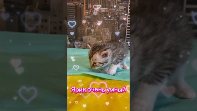 Нам один месяц.