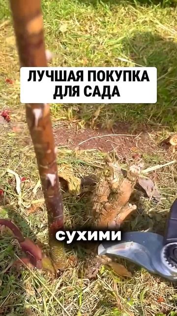 Мое лучшее приобретение для сада #вайлдберриз #находк? смотреть онлайн