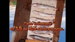 Отличная Зимняя рыбалка в начале Января.🎣🐟