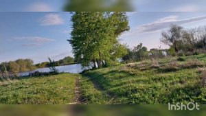 Линёвские зарисовки - 2025.