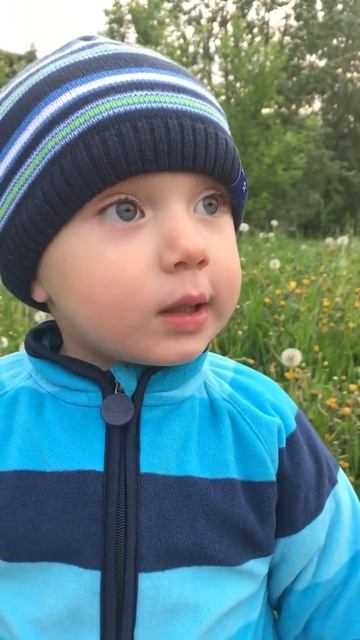 Я узнал что у меня есть огромная семья! Брат 2 смотреть онлайн