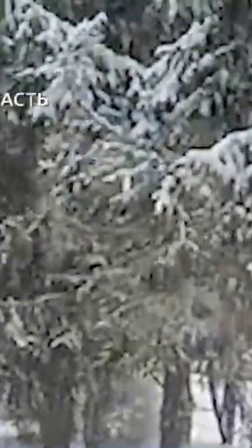 Зима ненадолго вернулась на юго-восток Московской обл смотреть онлайн