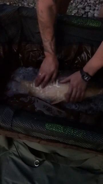 #Рыбалка на золотом берегу￼ смотреть онлайн