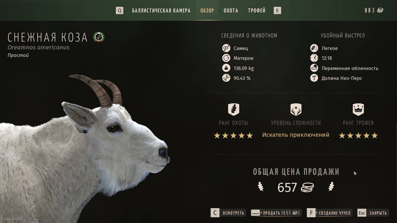 УДАЧНАЯ ОХОТА !!!