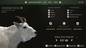 УДАЧНАЯ ОХОТА !!!