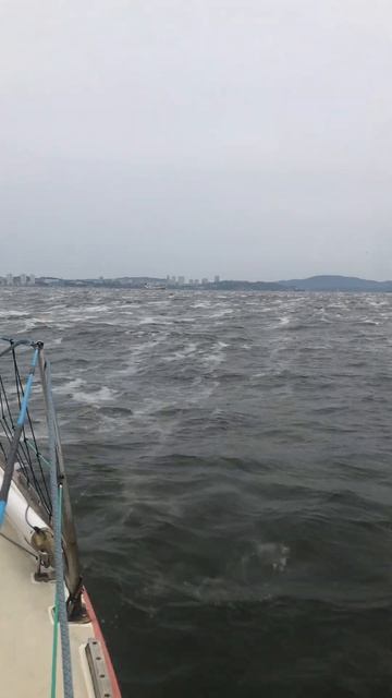 Пена в Амурском заливе #амурскийзалив #edge_of_ideas #пена смотреть онлайн