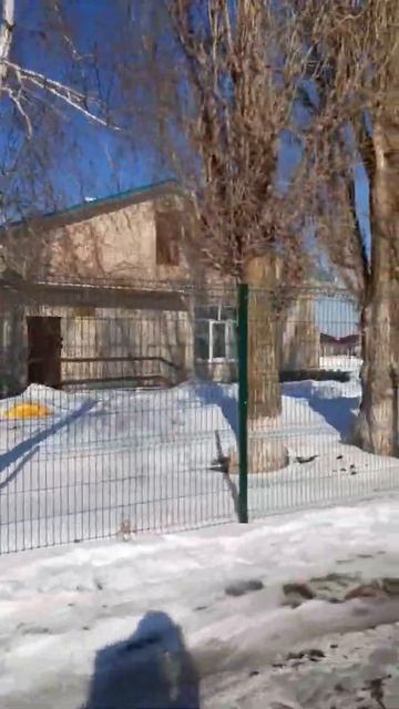 Детский сад #андрейполянский #вайб смотреть онлайн