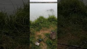 Рыбалка, отдых на водохранилище Невинномысск Ставроп?