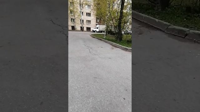 Погода в Санкт-Петербурге в районе пр Большевиков
20.05.2025