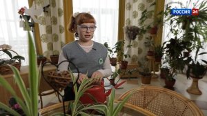 Кто такие современные аграрии и почему это профессия ?