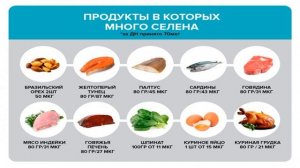 ПОЛЬЗА СЕЛЕНА ДЛЯ ЗДОРОВЬЯ ЧЕЛОВЕКА