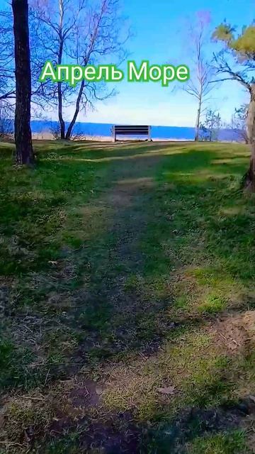 #АлексейРоманюта #Забудь #природа #море #шансон #шортс # смотреть онлайн