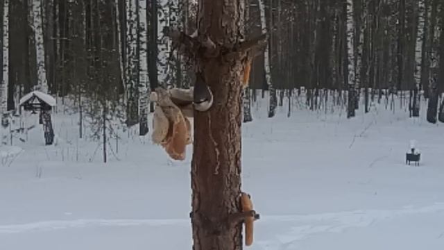 Настоящее волшебство. Сила мысли. Сила слова. Как быть смотреть онлайн