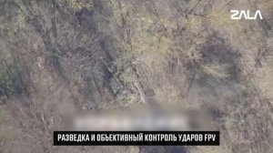 Zala апрель 2025