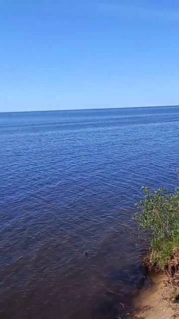 рыбинское водохранилище смотреть онлайн