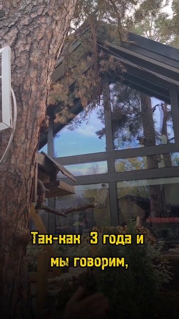Фахверк Домогацкого через 3 года #фахверк #строимдомме