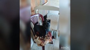 Дае подружки Вася и Вова😄🩷🩷🩷