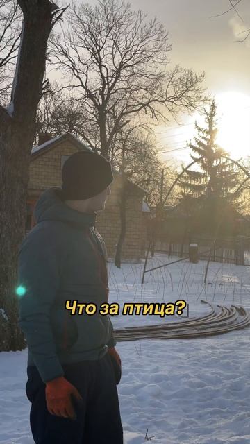 #клубника #малина #теплица #беларусь смотреть онлайн