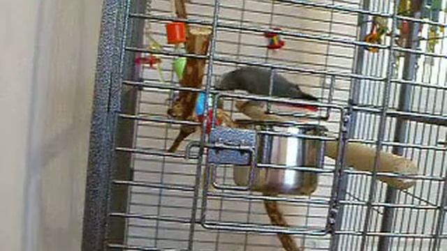 Жако Агу рассказывает, что она "ХулиганьЁ" смотреть онлайн